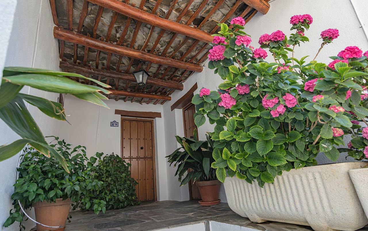 Apartamentos Rurales Las Chimeneas Capileira Ngoại thất bức ảnh